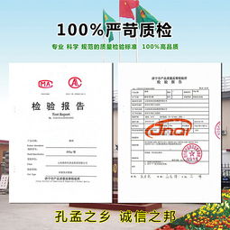 數字浪潮下的產品新生——公司某產品互聯網宣傳與銷售策略解析